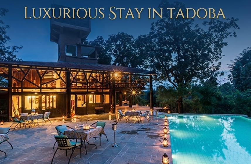 "Evening view of a luxury resort in Tadoba featuring a swimming pool and outdoor dining by lantern light, with the text 'Luxurious Stay in Tadoba' overlaid at the top."