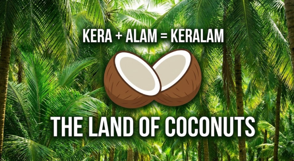 From Kerala to Keralam: The Journey, Meaning, and Cultural Heartbeat of God's Own Country 2 A lush background of coconut palm trees. In the center are two halved coconuts. Text above them reads 'KERA + ALAM = KERALAM'. Large text below reads 'THE LAND OF COCONUTS', explaining the etymological meaning of the name